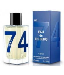 Tester - Iceberg Cedar Edt 100ml