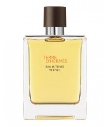 Hermes Terre d'Hermes Eau Intense Vetiver For Men Edp 100ml